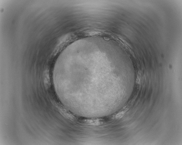 X0000060260524200511181357