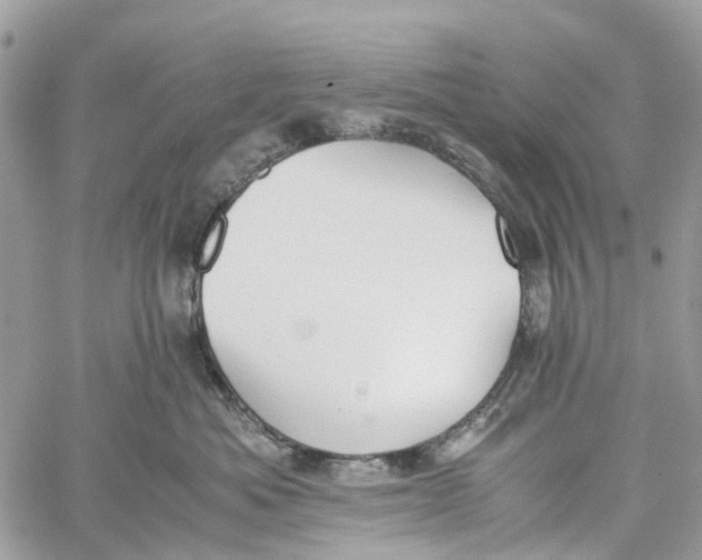 X0000060260525200511181357