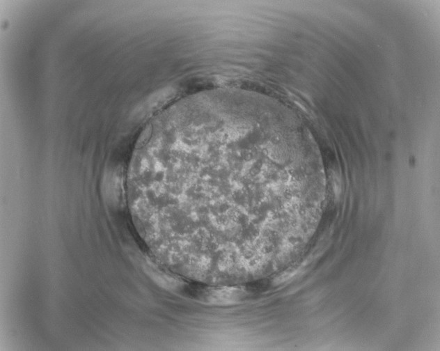 X0000060260527200511181357