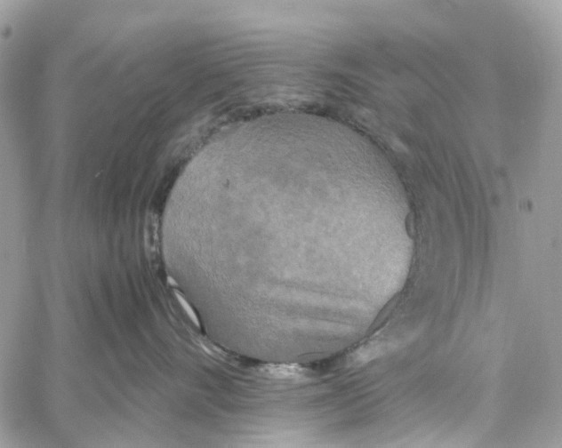 X0000060260528200511181357