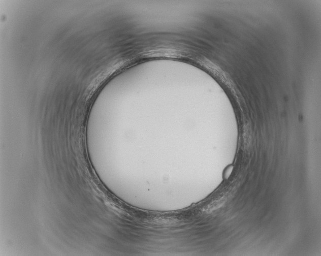 X0000060260529200511181356