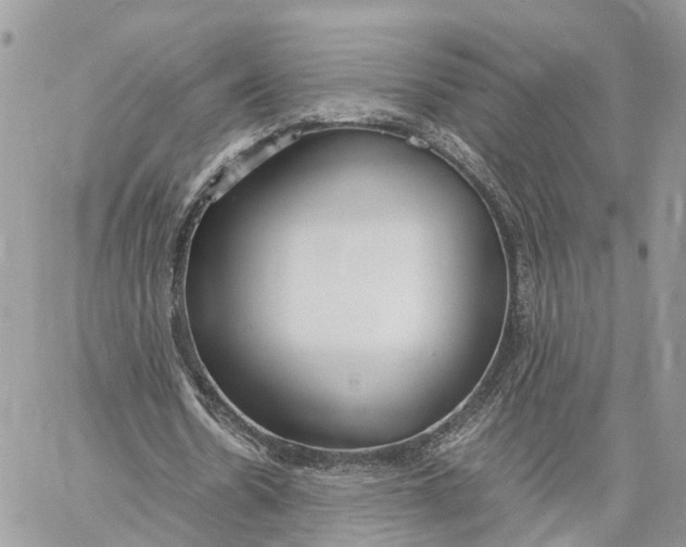 X0000060260530200511181356