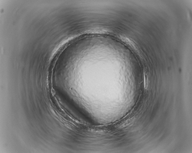 X0000060260531200511181356