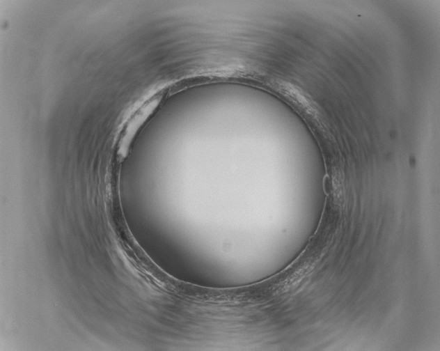 X0000060260532200511181356