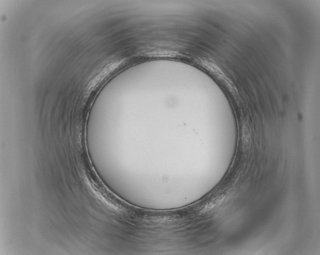 X0000060260533200511181356