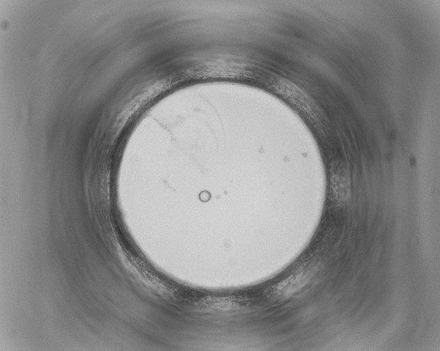 X0000060260534200511181356