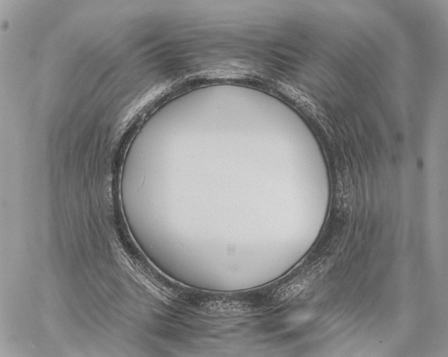 X0000060260535200511181356