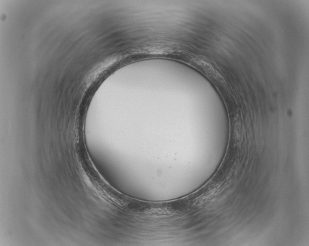 X0000060260536200511181356