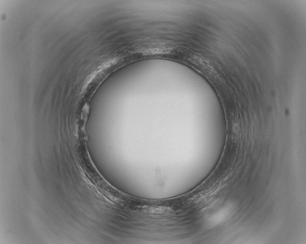 X0000060260539200511181356