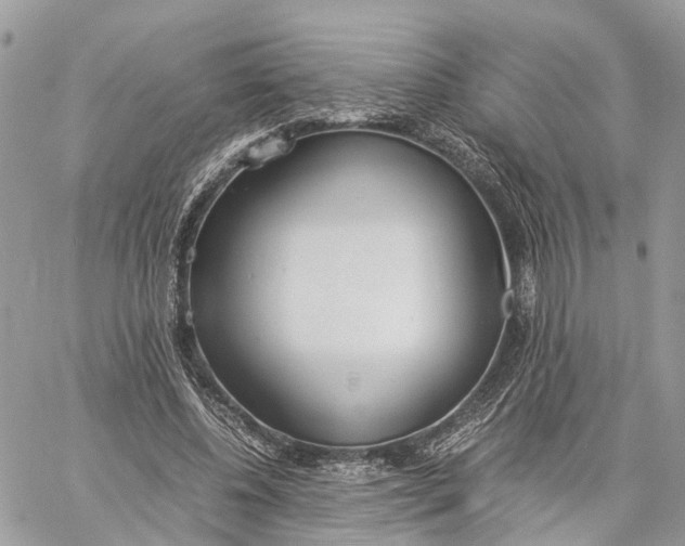 X0000060260540200511181356