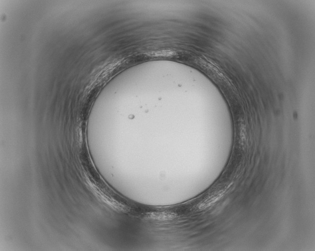 X0000060260541200511181356