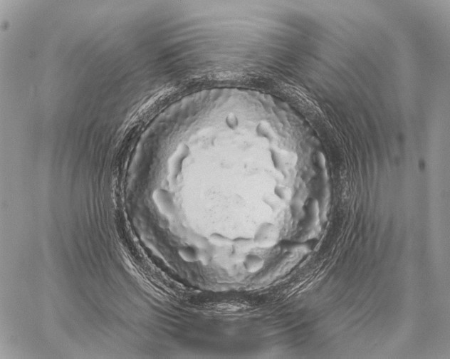 X0000060260542200511181356