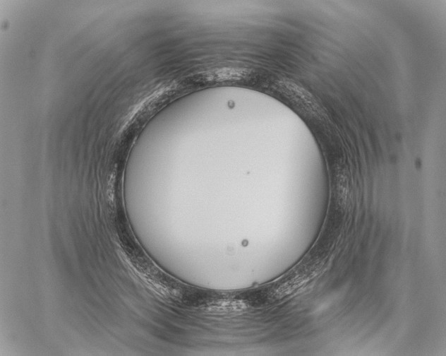 X0000060260543200511181357