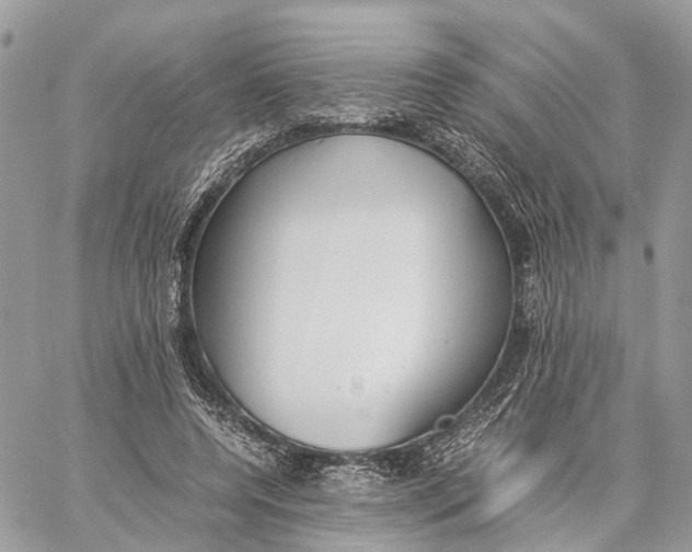 X0000060260544200511181357