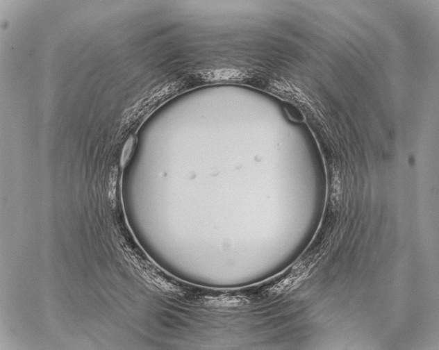 X0000060260545200511181357