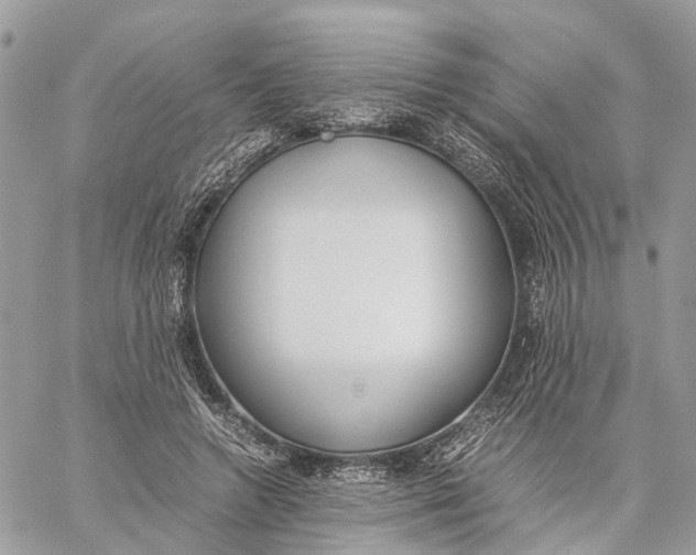 X0000060260546200511181357