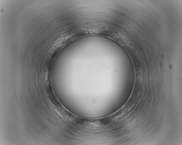 X0000060260548200511181357