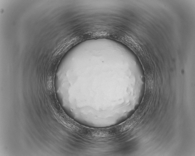 X0000060260549200511181357