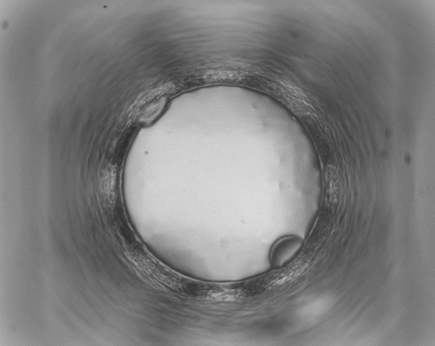 X0000060260550200511181357