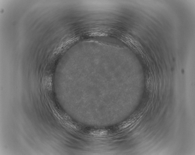 X0000060260551200511181357