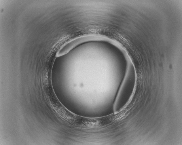 X0000060260552200511181357