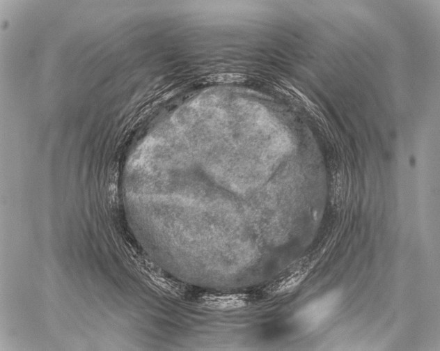 X0000060260553200511181357