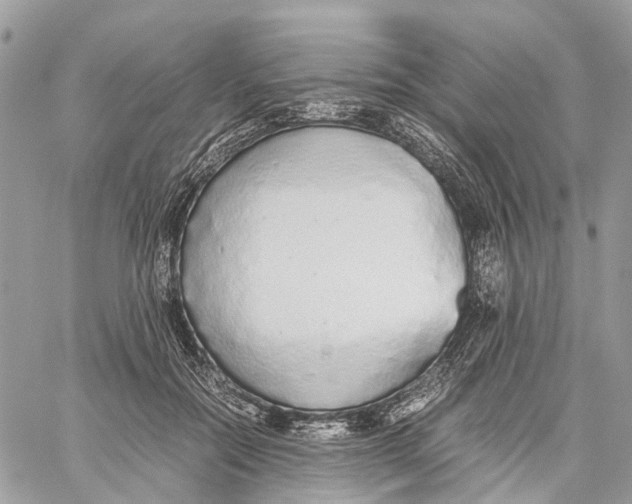 X0000060260554200511181357