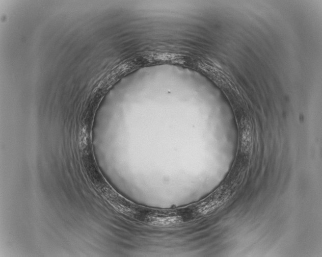 X0000060260555200511181357