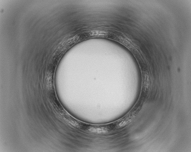 X0000060260557200511181357