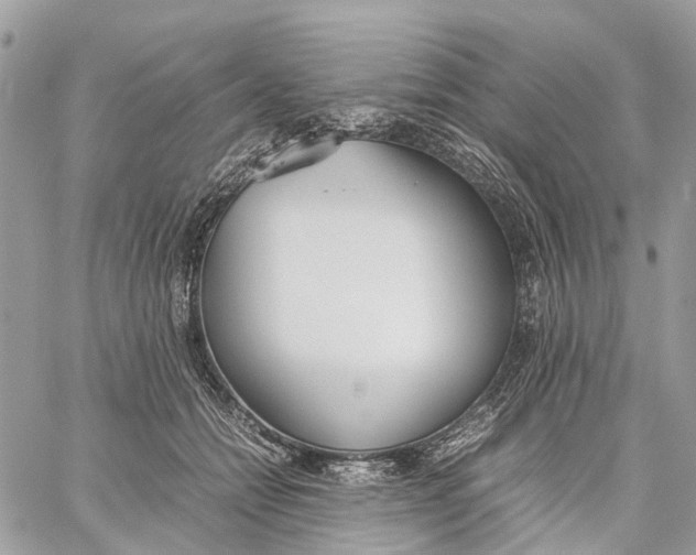 X0000060260558200511181357