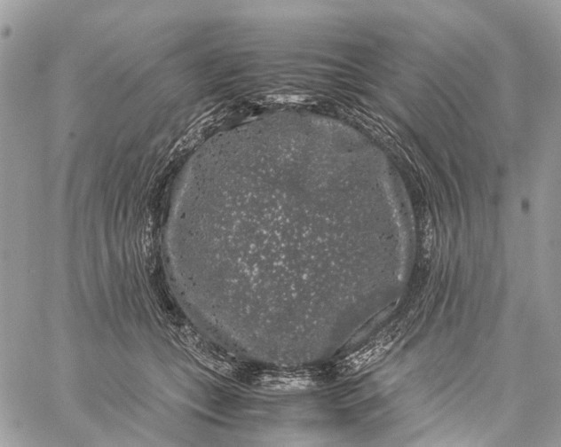 X0000060260559200511181357