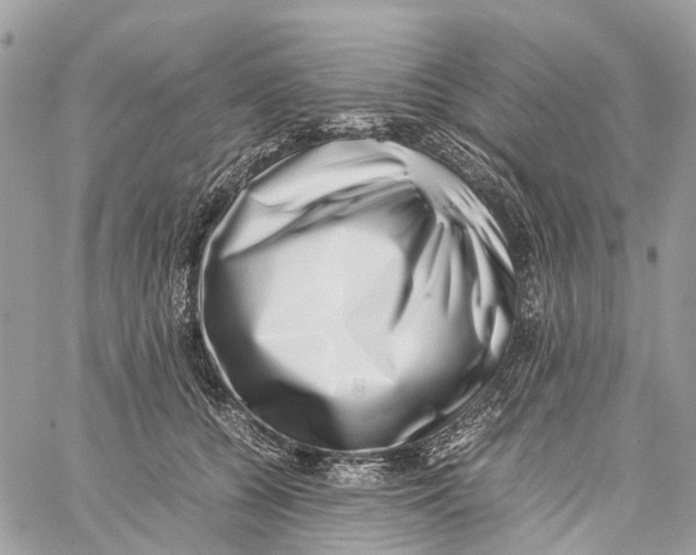 X0000060260560200511181357