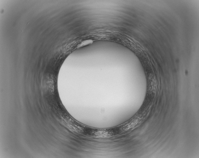 X0000060260562200511181357