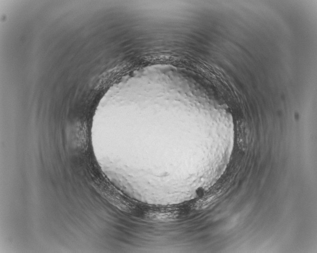 X0000060260563200511181357