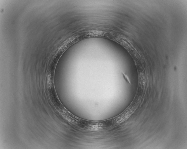 X0000060260564200511181357