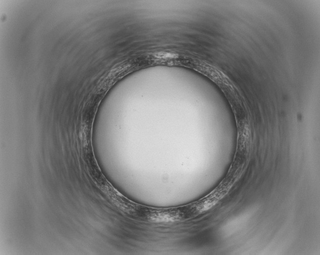 X0000060260565200511181357