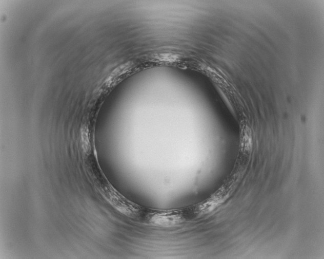 X0000060260568200511181357