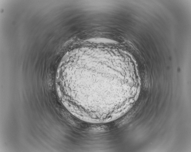 X0000060260569200511181357