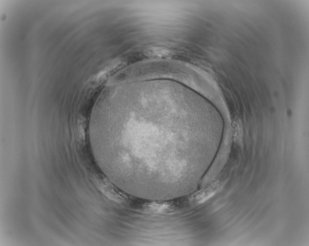 X0000060260570200511181357