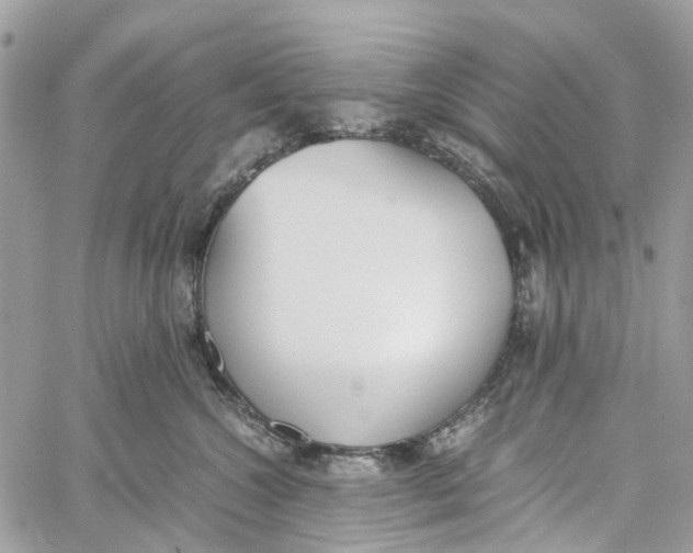 X0000060260572200511181357