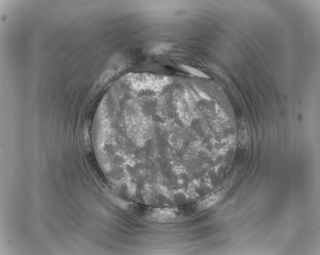 X0000060260573200511181357