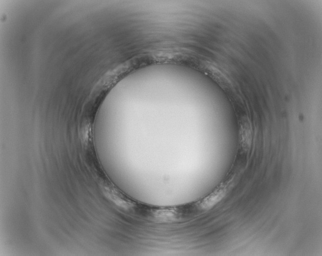 X0000060260574200511181357