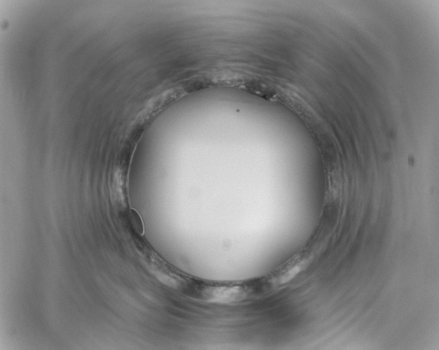 X0000060260575200511181357