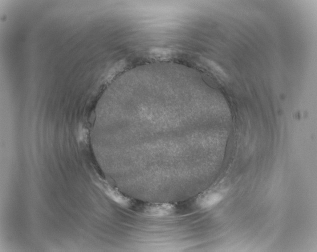 X0000060260576200511181357