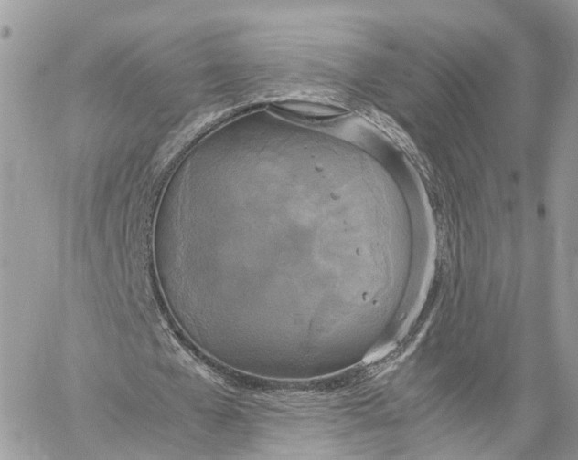 X0000060260577200511181356