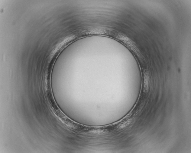 X0000060260578200511181356