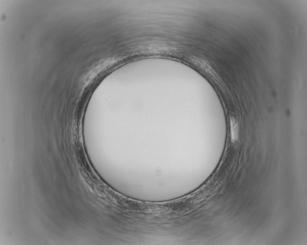 X0000060260579200511181356