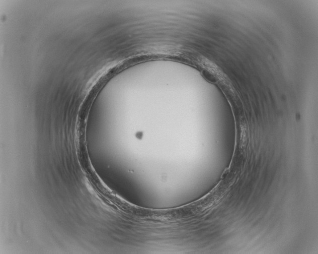 X0000060260580200511181356