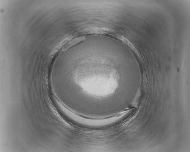 X0000060260581200511181356