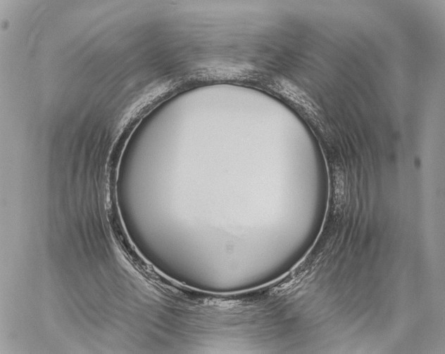 X0000060260582200511181356